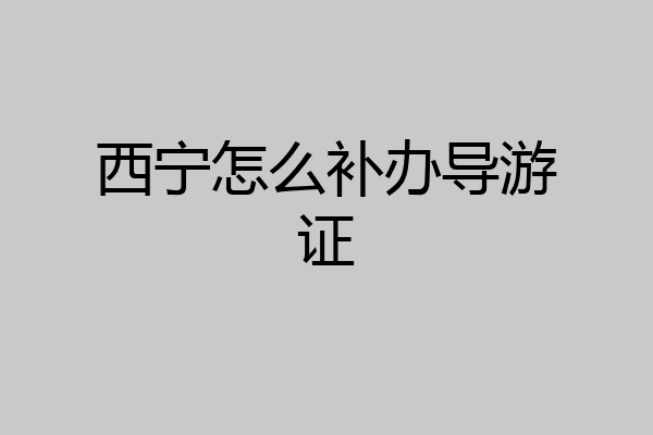西宁怎么补办导游证