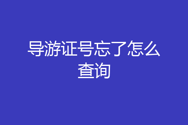 导游证号忘了怎么查询
