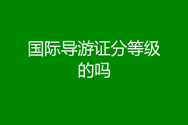 国际导游证分等级的吗