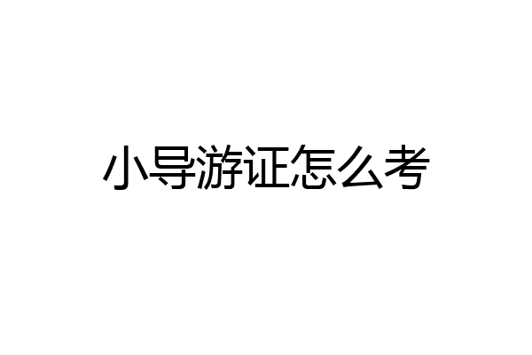 小导游证怎么考
