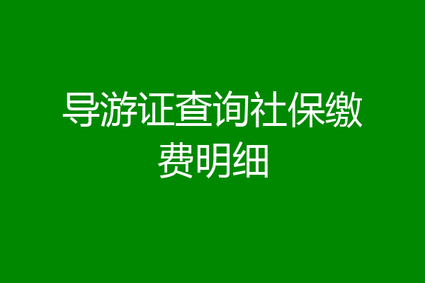 导游证查询社保缴费明细