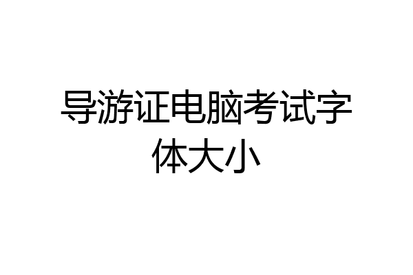 导游证电脑考试字体大小