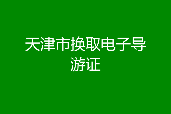 天津市换取电子导游证