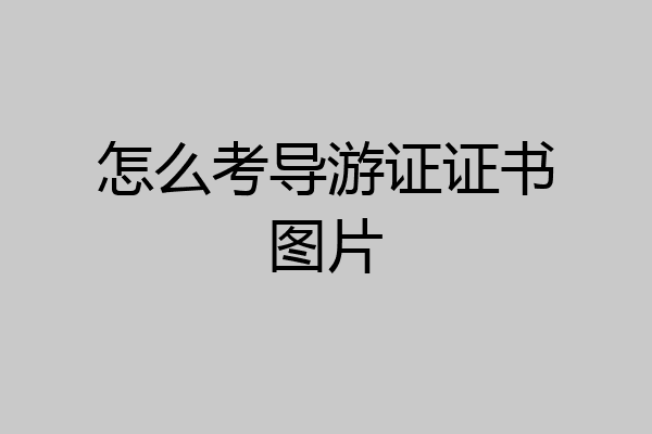 怎么考导游证证书图片