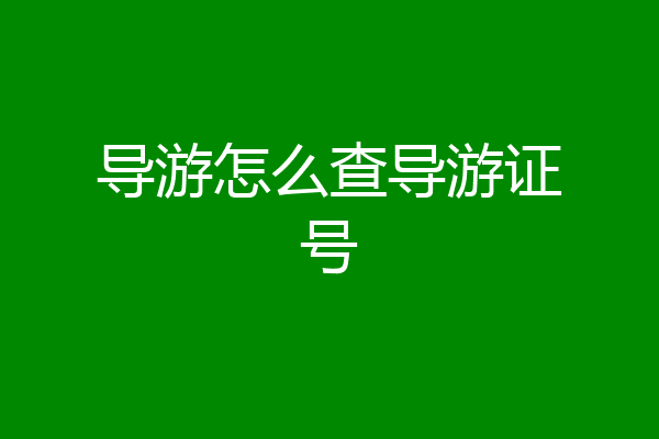 导游怎么查导游证号