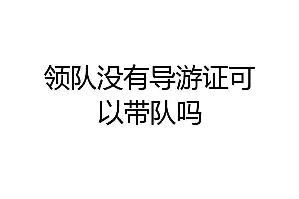 领队没有导游证可以带队吗