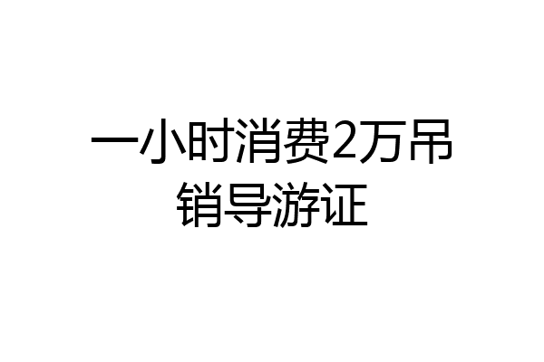 一小时消费2万吊销导游证