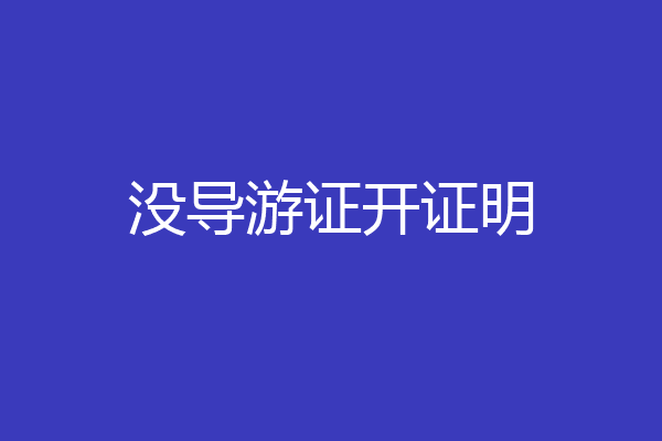 没导游证开证明