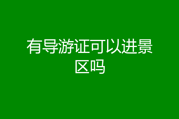 有导游证可以进景区吗