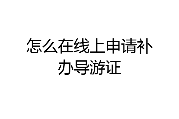 怎么在线上申请补办导游证