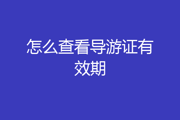怎么查看导游证有效期