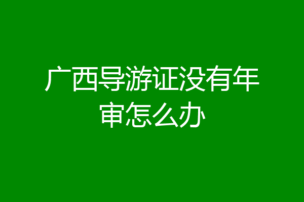 广西导游证没有年审怎么办