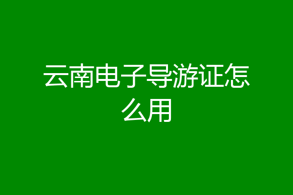 云南电子导游证怎么用