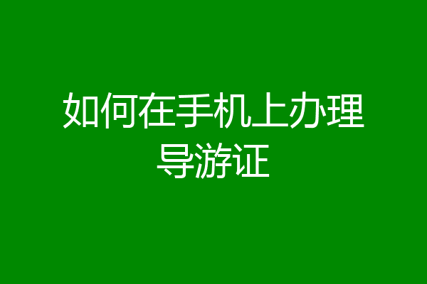如何在手机上办理导游证
