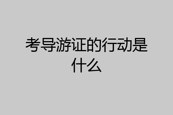 考导游证的行动是什么