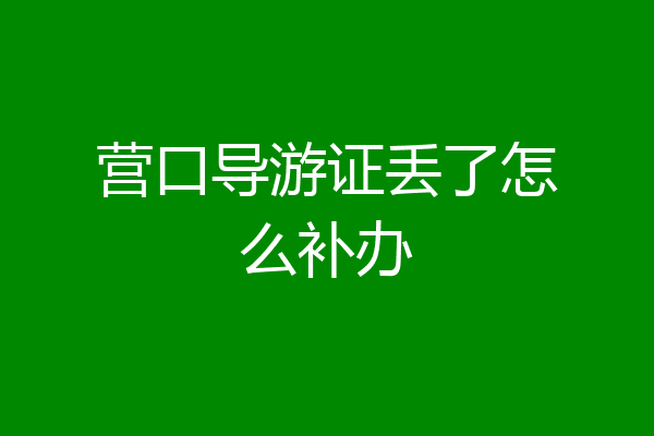营口导游证丢了怎么补办