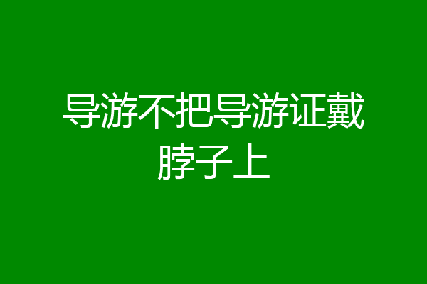导游不把导游证戴脖子上