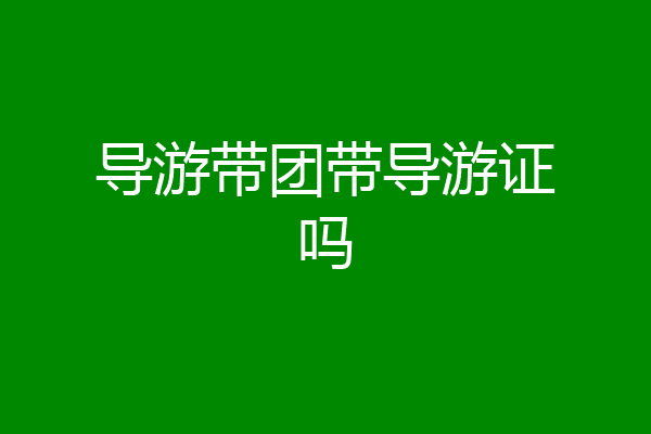 导游带团带导游证吗