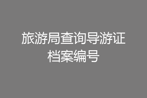 旅游局查询导游证档案编号