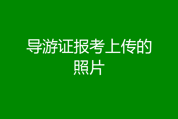 导游证报考上传的照片