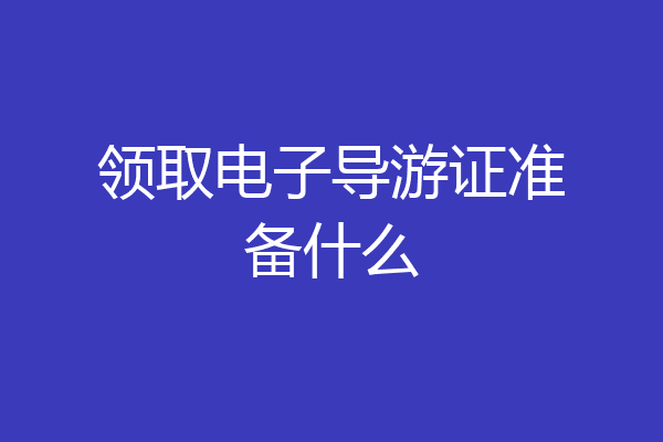 领取电子导游证准备什么