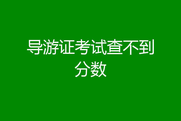 导游证考试查不到分数