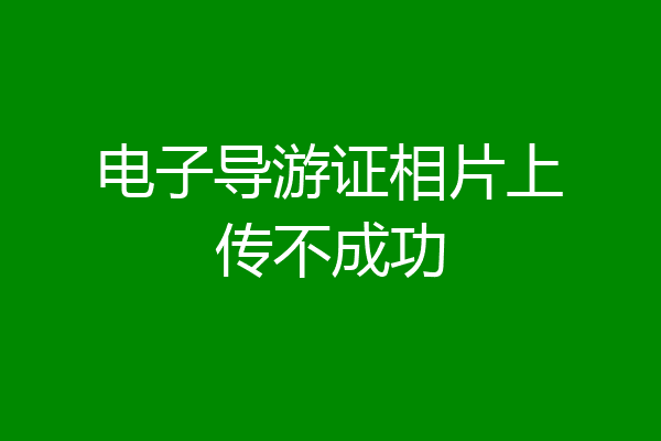 电子导游证相片上传不成功