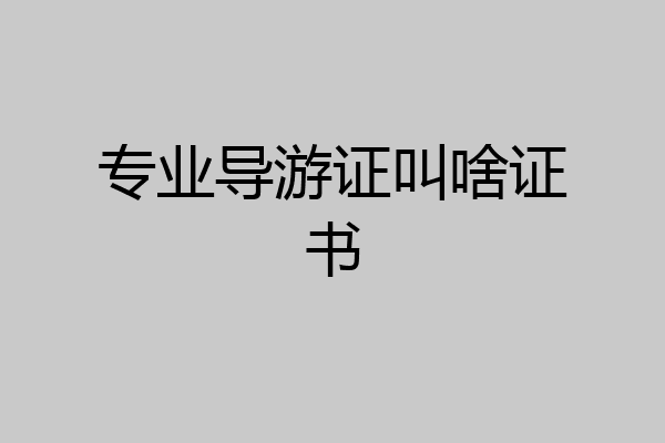 专业导游证叫啥证书