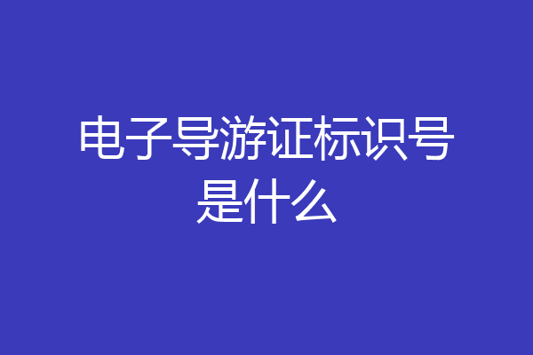 电子导游证标识号是什么