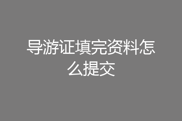 导游证填完资料怎么提交