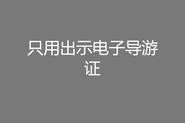 只用出示电子导游证