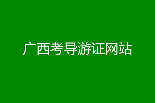 广西考导游证网站