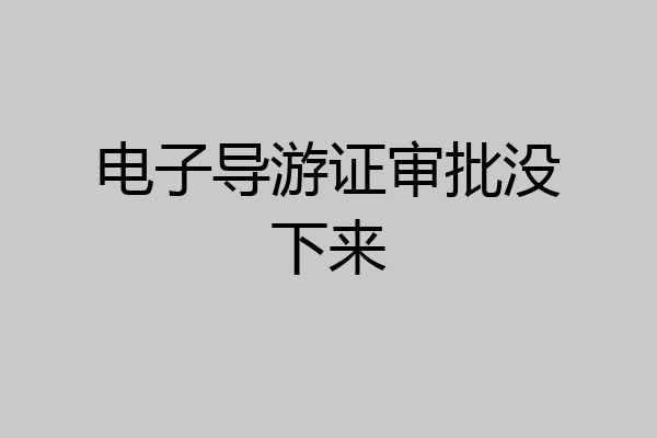 电子导游证审批没下来