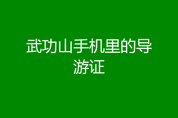 武功山手机里的导游证