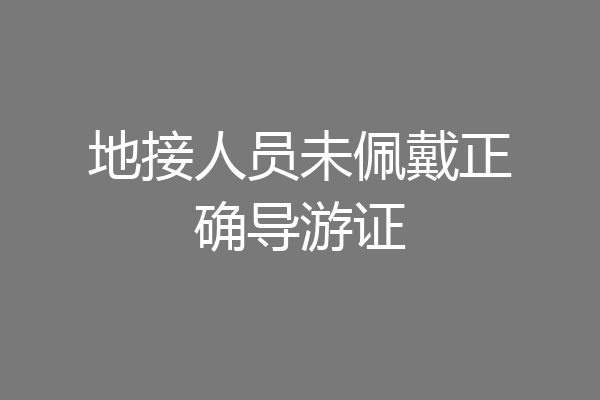 地接人员未佩戴正确导游证