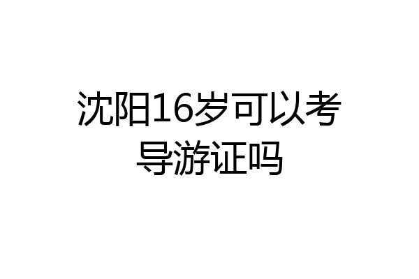 沈阳16岁可以考导游证吗