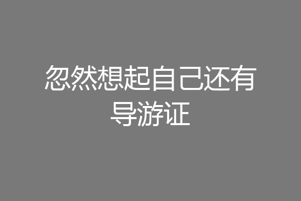 忽然想起自己还有导游证