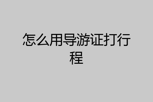 怎么用导游证打行程