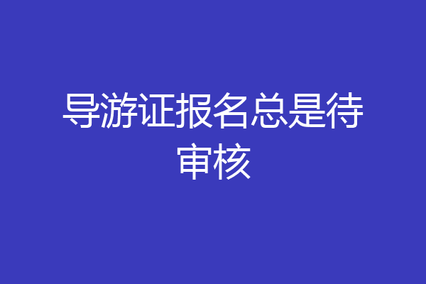 导游证报名总是待审核