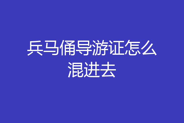 兵马俑导游证怎么混进去
