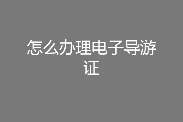 怎么办理电子导游证