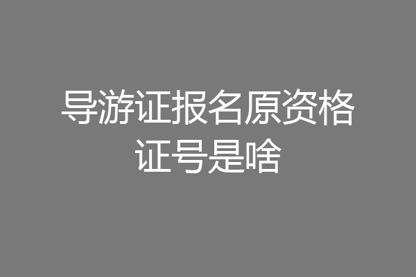 导游证报名原资格证号是啥