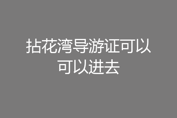 拈花湾导游证可以可以进去