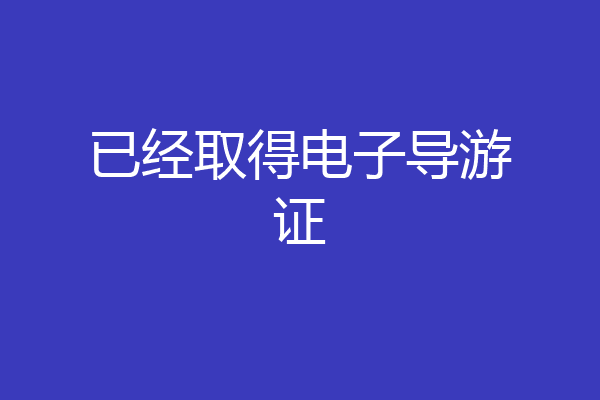 已经取得电子导游证