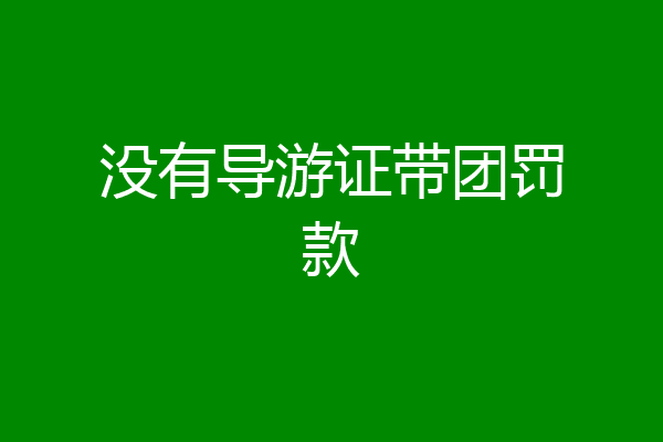没有导游证带团罚款