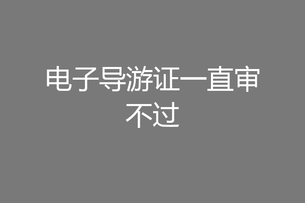 电子导游证一直审不过