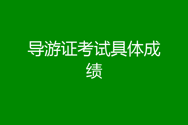 导游证考试具体成绩