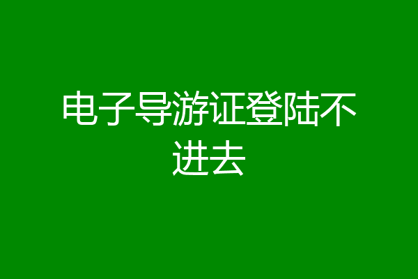 电子导游证登陆不进去