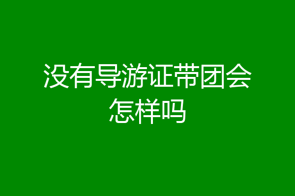 没有导游证带团会怎样吗