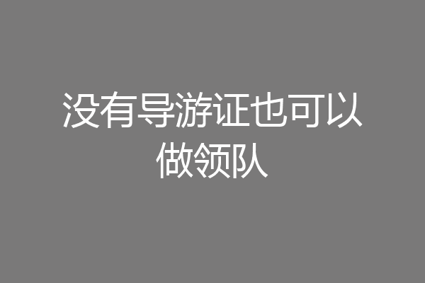 没有导游证也可以做领队